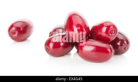 Berberitze Beeren auf dem weißen Hintergrund isoliert. Stockfoto