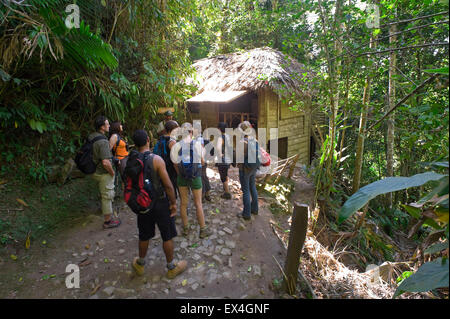 Horizontale Ansicht einer Reisegruppe im Fidels HQ während der kubanischen Revolution in Kuba Turquino Nationalpark. Stockfoto