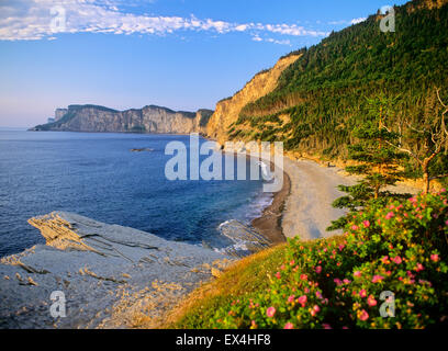 Nordamerika, Kanada, Quebec, Gaspe Halbinsel, Forillon National Park, cap-bon-Ami, Cap Bon Ami, Appalachian Berge Stockfoto