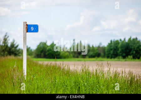 Wegweiser in Landschaft. Bild ist retro mit verblassten Stil gefiltert. Stockfoto