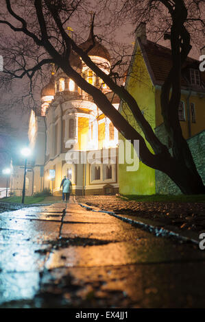 Alexander Nevsky Cathedral in der Nacht, Tallinn, Estland Stockfoto