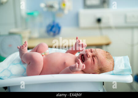 Ein neugeborenes Baby weint, als es zum allerersten Mal gewogen Stockfoto