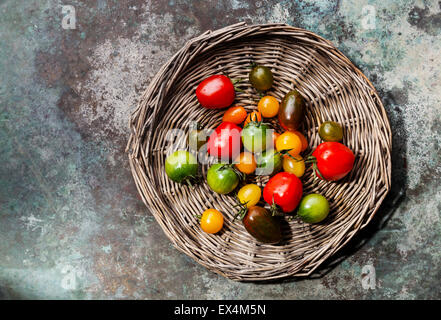 Reife frische bunte Tomaten auf Korbwaren Tablett auf Metall Hintergrund Stockfoto