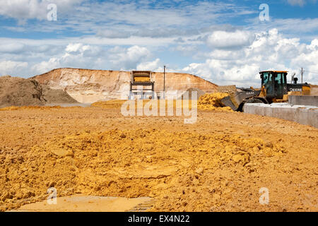 Die brennerei feucht Körner-co-Produkt von der Produktion von Ethanol als Futtermittel an einem Rind feedyard in der Nähe von North platt, Nebraska verwendet, Stockfoto