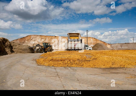 Rindfleisch-Mastbetrieb in der Nähe von North Platt, Nebraska, USA Stockfoto