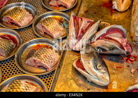 Fischmarkt in China Hong Kong Stockfoto