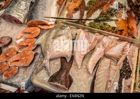 Fischmarkt in China Hong Kong Stockfoto