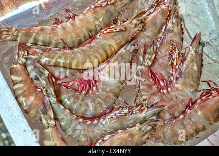 Frische Tiger Garnelen auf dem Markt in Hong-Kong Stockfoto