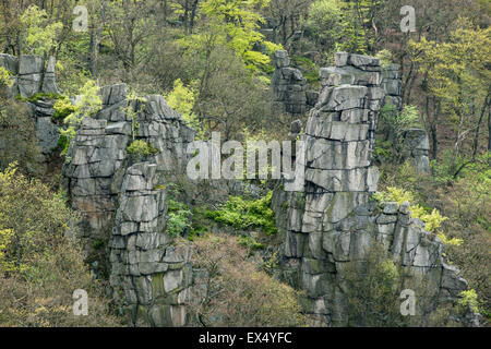 Blick vom Hexentanzplatz Plateau auf Zinnen und Wald in der Bodeschlucht, östlichen Harz, Sachsen-Anhalt, Deutschland Stockfoto