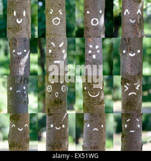 Eine Sammlung von verschiedenen Smileys auf Baumstämme gemalt Stockfoto