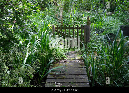 überwuchert Eingang zum Gartentor, Norfolk, england Stockfoto