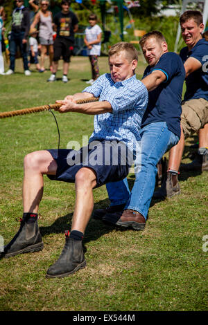 Tauziehen, Kingston Dorffest, Kingston, Sussex, UK Stockfoto