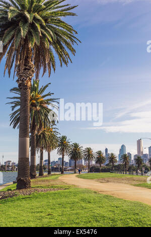 Skyline von Melbourne gesehen von Albert Park Lake und Lakeside Drive, Melbourne, Victoria, Australia Stockfoto