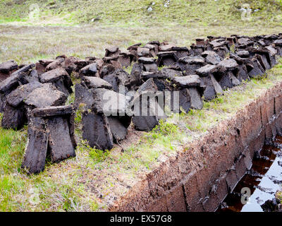 Torf schneiden und trocknen, Schottland, UK Stockfoto