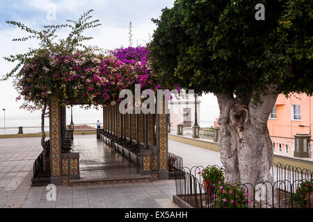 ESP, Spanien, Kanarische Inseln, Insel La Palma, Tazacorte, Platz an der Kirche San Miguel.  ESP, Spanien, Kanarische Inseln Stockfoto