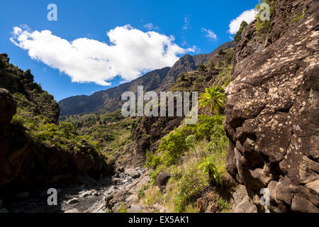 ESP, Spanien, die Kanaren Insel La Palma, National park Caldera de Taburiente, im Barranco de las Angustias.  ESP, Stockfoto