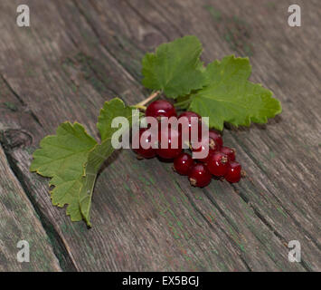 Zweig der roten Johannisbeere auf dem alten desktop Stockfoto