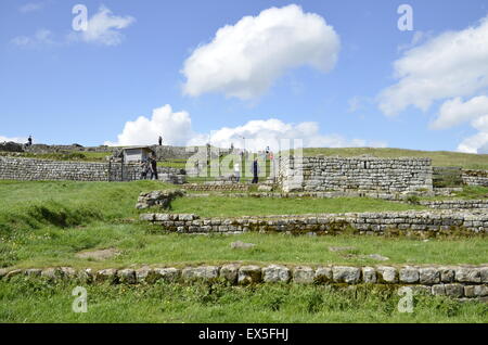 Fort Housesteads am Hadrianswall in Northumberland Stockfoto
