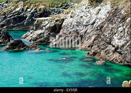 Saltee Inseln Küste in Sommerzeit, County Wexford, Irland, Europa Stockfoto