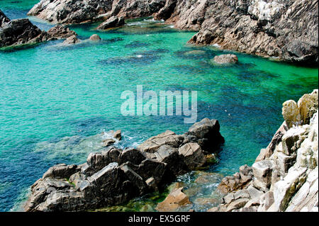 Saltee Inseln Küste in Sommerzeit, County Wexford, Irland, Europa Stockfoto