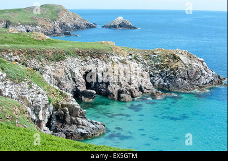 Saltee Inseln Küste in Sommerzeit, County Wexford, Irland, Europa Stockfoto