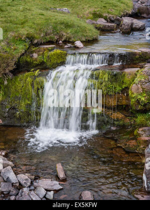 Wasserfall bei Pont Ar DAF in den Brecon Beacons, Powys, Süden wacht, UK Stockfoto