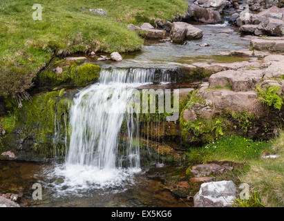 Wasserfall bei Pont Ar DAF in den Brecon Beacons, Powys, Süden wacht, UK Stockfoto