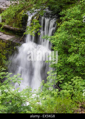 Sgwd Isaf Clun Gwyn Wasserfall, Fluss Mellte, Brecon Beacons National Park, Powys, Wales, UK Stockfoto