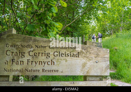 Melden Sie sich an die Craig Cerrig Gleisaid ein Fan Frynych National Nature Reserve, Brecon Beacons National Park, Powys, Wales, UK Stockfoto