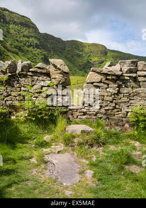 Stein-Wand und Stil in eine nationale Natur-Reserve, Craig Cerrig Gleisiad eine Fan Frynych, Brecon Beacons, Powys, South Wales, UK Stockfoto