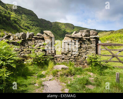 Stein-Wand und Stil in eine nationale Natur-Reserve, Craig Cerrig Gleisiad eine Fan Frynych, Brecon Beacons, Powys, South Wales, UK Stockfoto