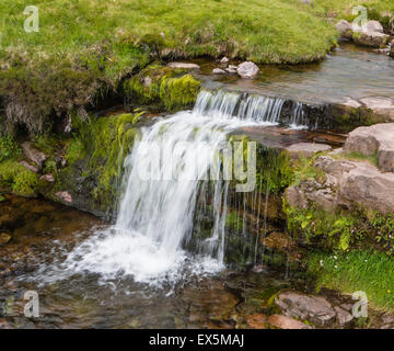 Wasserfall in der Nähe von Pont Ar DAF in den Brecon Beacons, Powys, South Wales, UK Stockfoto