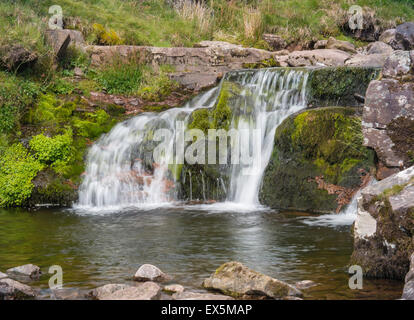 Wasserfall in der Nähe von Pont Ar DAF in den Brecon Beacons, Powys, South Wales, UK Stockfoto