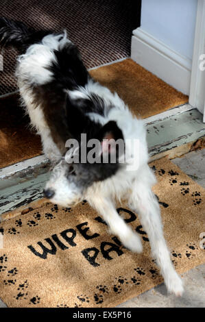 Türmatte "Wischen Sie Ihre Pfoten" bei einem Hund freundliches Hotel UK Stockfoto