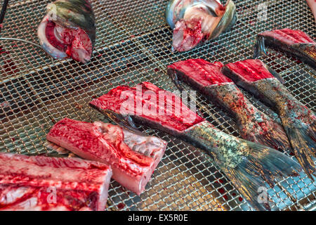 Fischmarkt in China Hong Kong Stockfoto