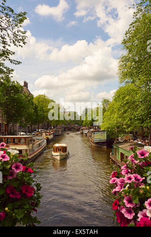 Hausboote und Lastkähne festgemacht entlang eines schönen Baumes ausgekleidet Amsterdam Canal in den Niederlanden, EU. Stockfoto