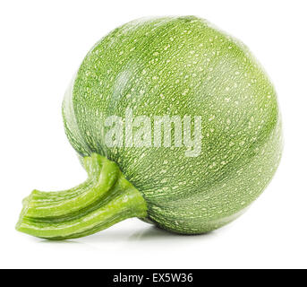 Roh-Runde Gemüse Knochenmark isoliert auf weißem Hintergrund. Zucchini, Zucchini. Stockfoto