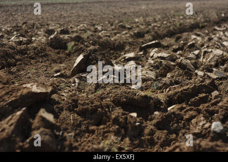 Feld in einer ländlichen Gegend Rumänien Pflügen Stockfoto