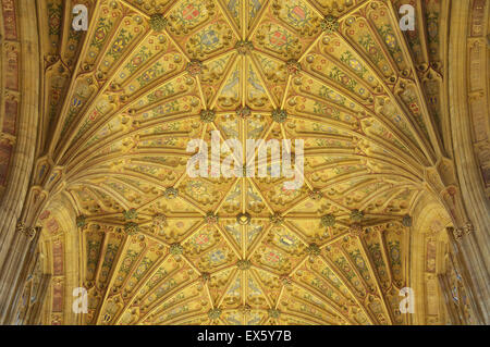 Die reich verzierten Gotischen Ventilator gewölbte Decke von Sherborne Abbey mit seinem farbenfrohen Designs und Symbole. Dorset, England, Vereinigtes Königreich. Stockfoto