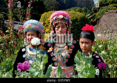 DOI Poi, Thailand: Thai-Familie tragen traditionelle Hügel Dorf Kleidung besuchen einen Garten von Schlafmohn Stockfoto