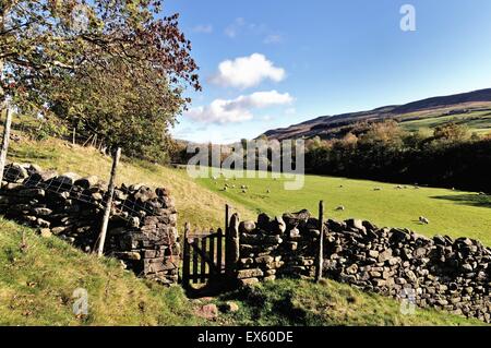 Wanderweg und Tor in Muker Swaledale North Yorkshire Stockfoto