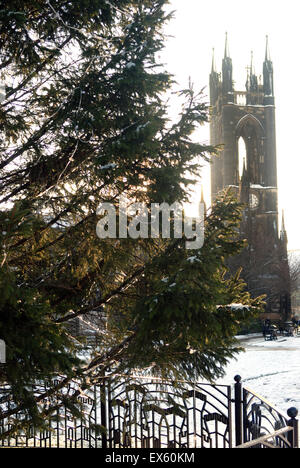 Weihnachtsbaum und St. Thomas Kirche Stockfoto