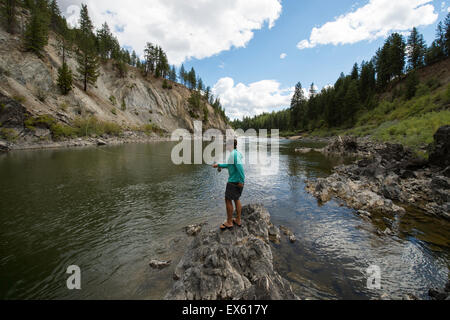 Junge Fliegenfischer Gießen seinen Stab in einen Fluss Montana Stockfoto