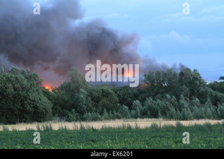 Rainham, London, UK. Dienstag, 7. Juli 2015. Über 80 Feuerwehrleute bekämpfen Brand in einer Palette Hof in Rainham. 12 Feuerwehrautos aus drei Feuerwehren wurden um ca. 20:00 Dienstag Abend in der Szene genannt. Kent und Essex, Feuerwehr und Rettungsdienste wurden gerufen, um die Londoner Feuerwehr unterstützen, bekämpfen das Feuer. Ein Stapel von Paletten und etliche Gebäude sind vermutlich in das Feuer. Form, die der Brand kilometerweit sehen konnte, wie Winde angefacht zu rauchen. Es gibt keine gemeldeten Verletzungen und die Ursache für den Brand ist noch nicht bekannt. Stockfoto