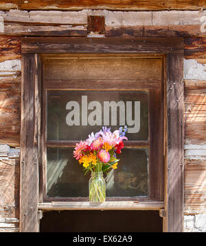 Blumenvase In Fenster Stockfoto