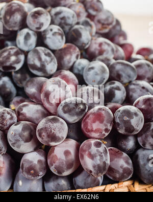 Erntefrisch Rotweintrauben Makro Nahaufnahme Stockfoto