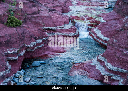 Red Rock Canyon, Blakiston Tal, Waterton Lakes National Park, Alberta, Kanada Stockfoto