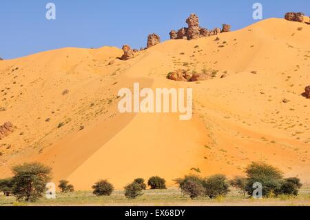 Hügel bedeckt fast vollständig mit Sand aus einer Sanddüne, Strecke von Atar nach dort, Region Adrar, Mauretanien Stockfoto