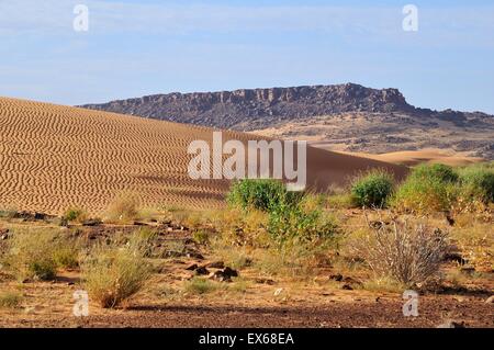 Wüstenlandschaft mit Sanddüne und felsigen Hügeln, route von Atar nach dort, Region Adrar, Mauretanien Stockfoto