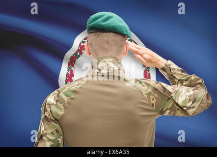 Soldat grüßte uns State Flag Serie - Virginia Stockfoto